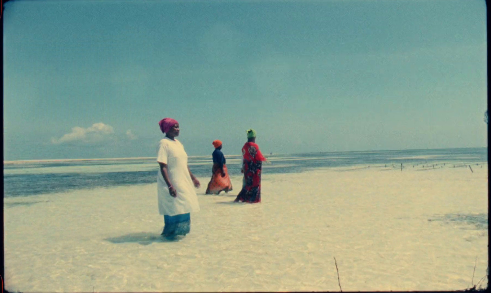 a group of people standing on top of a sandy beach