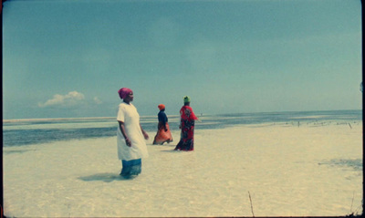 a group of people standing on top of a sandy beach