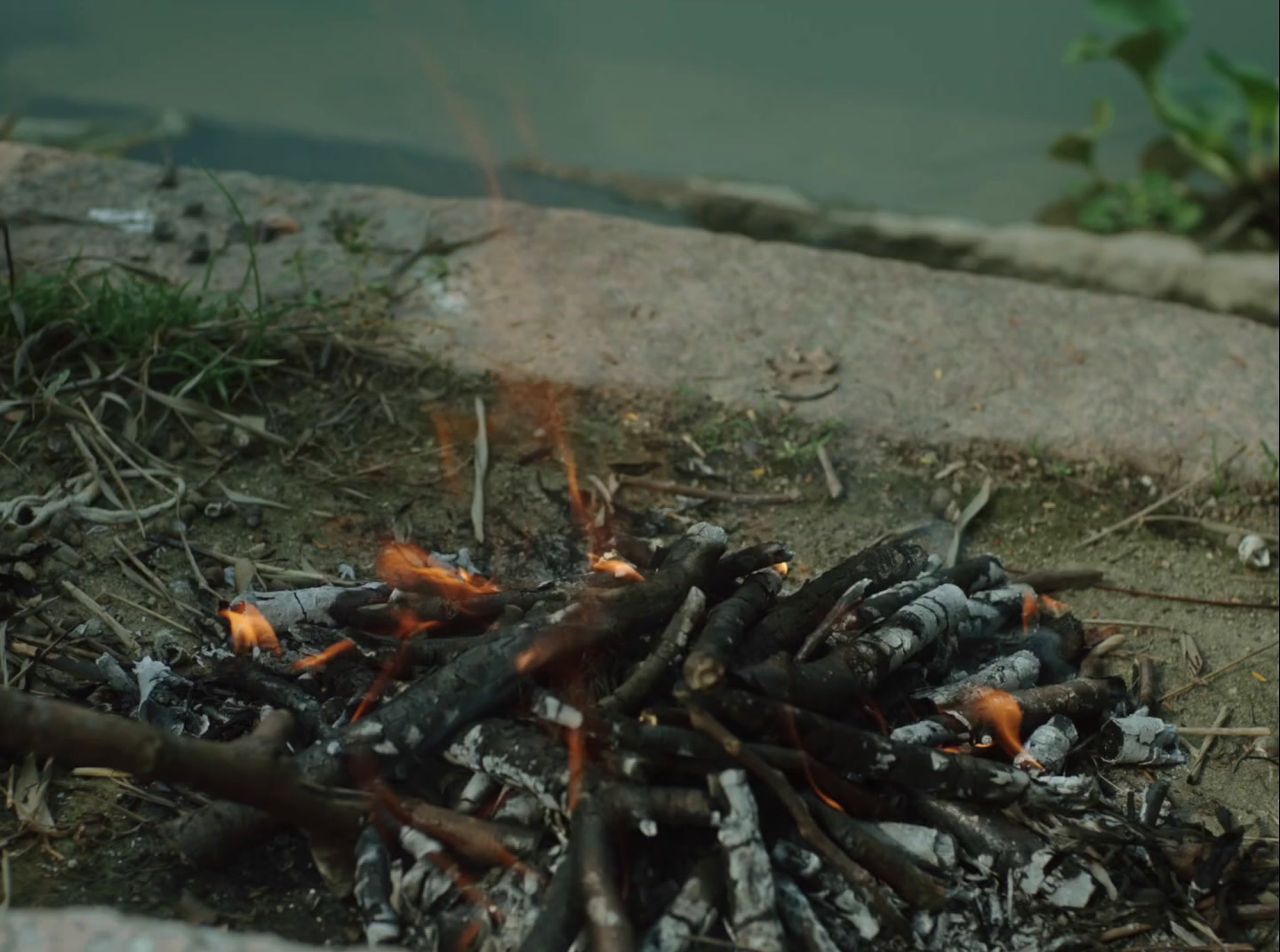 a pile of wood sitting next to a fire pit