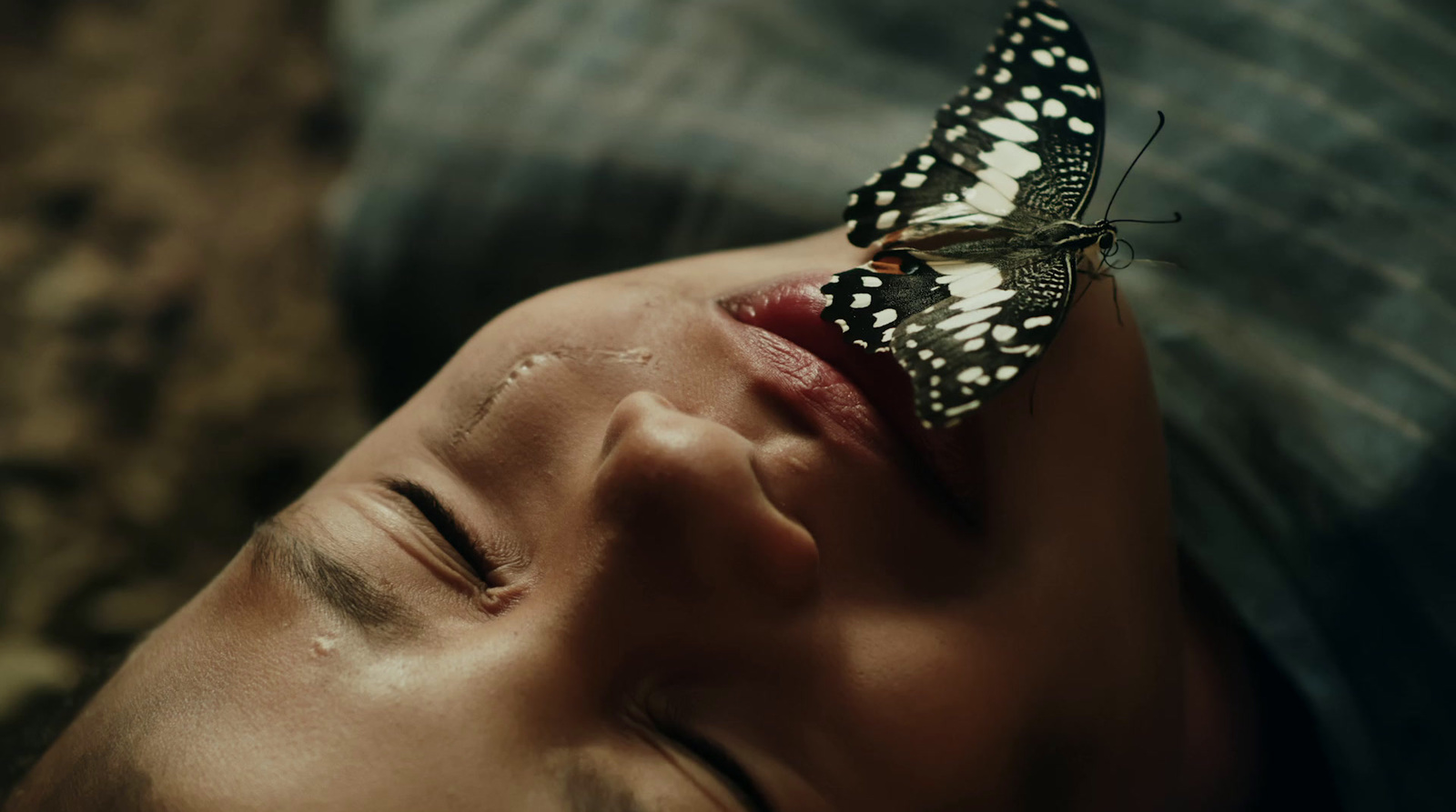 a young boy sleeping with a butterfly on his forehead