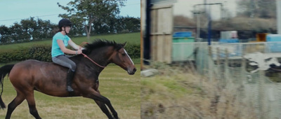 a person riding a horse in a field