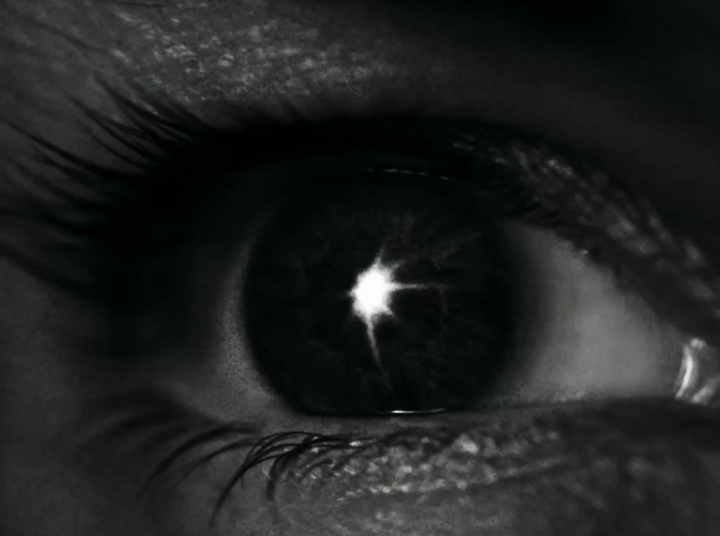 a black and white photo of a person's eye