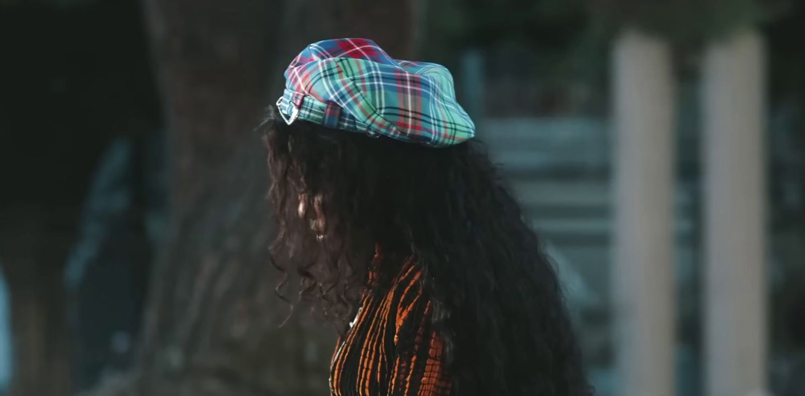 a woman with long hair wearing a plaid hat