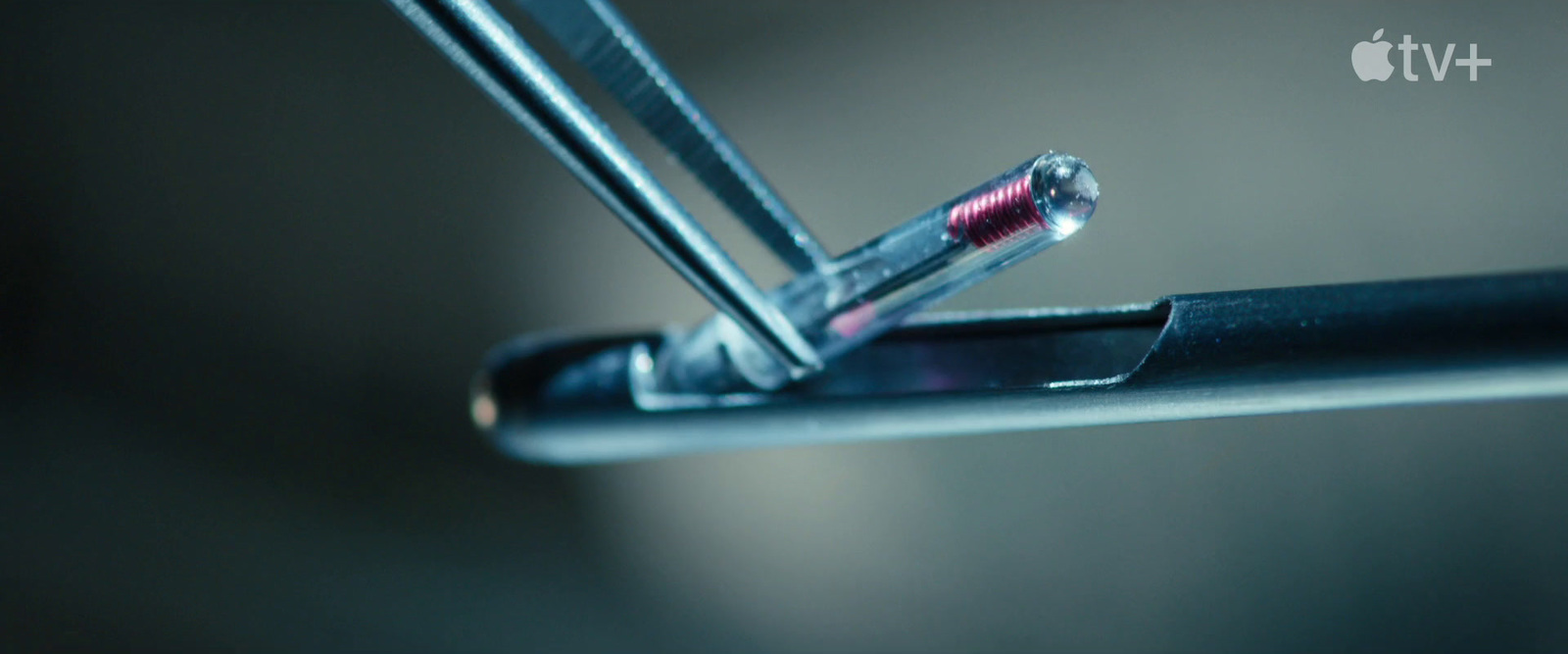 a close up of a pair of scissors