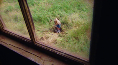 a person standing in the grass looking out of a window