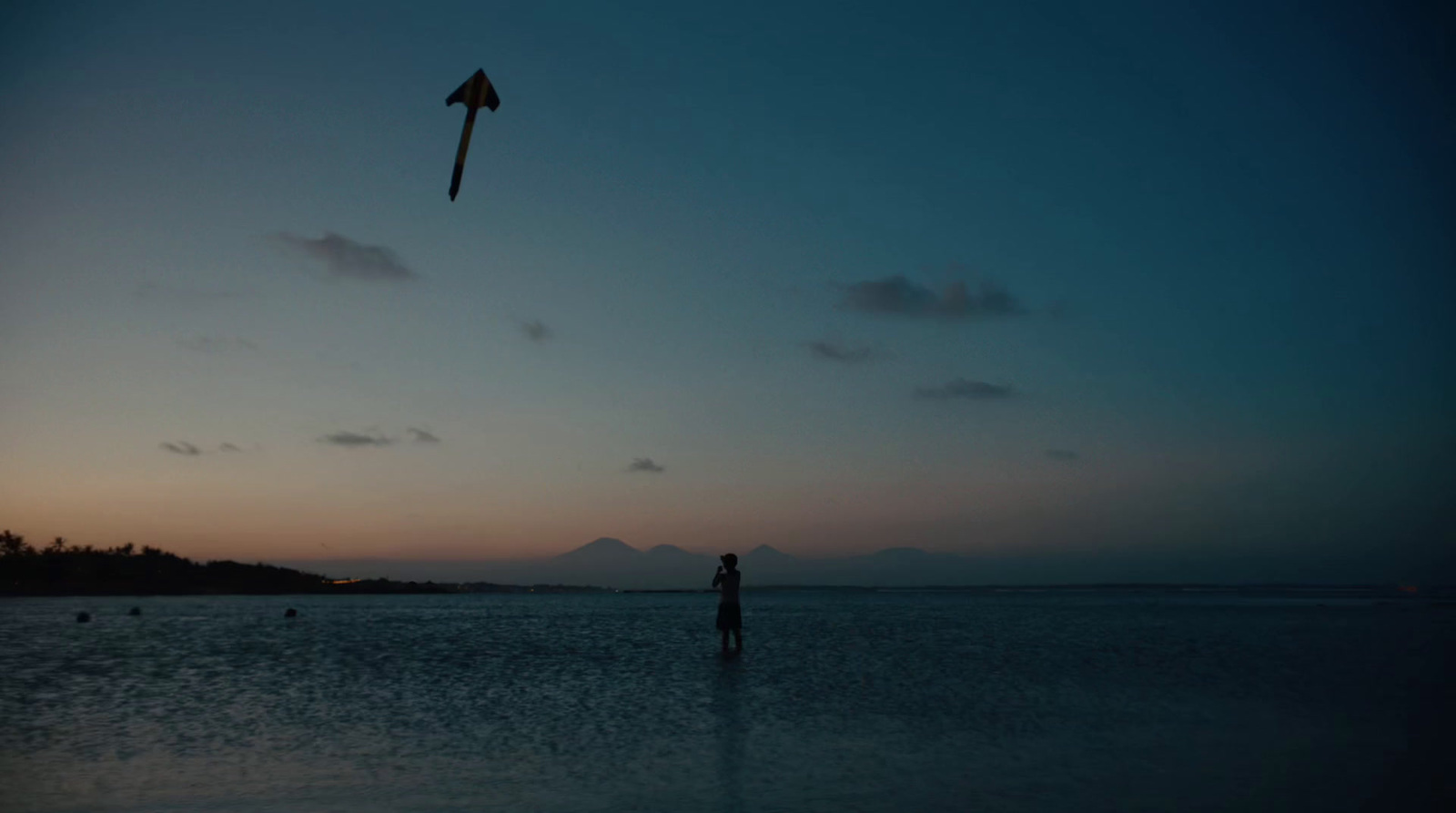 a person standing in the water flying a kite