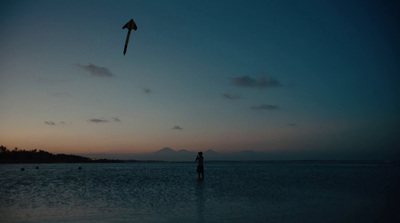 a person standing in the water flying a kite