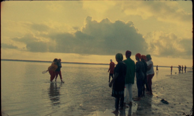 a group of people standing on top of a beach