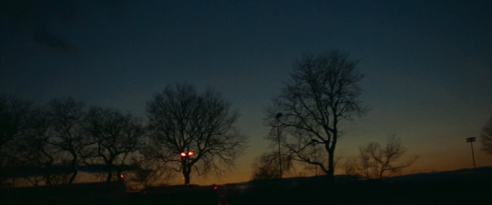 a couple of trees that are next to a street light