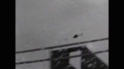 a black and white photo of a bird on a fence