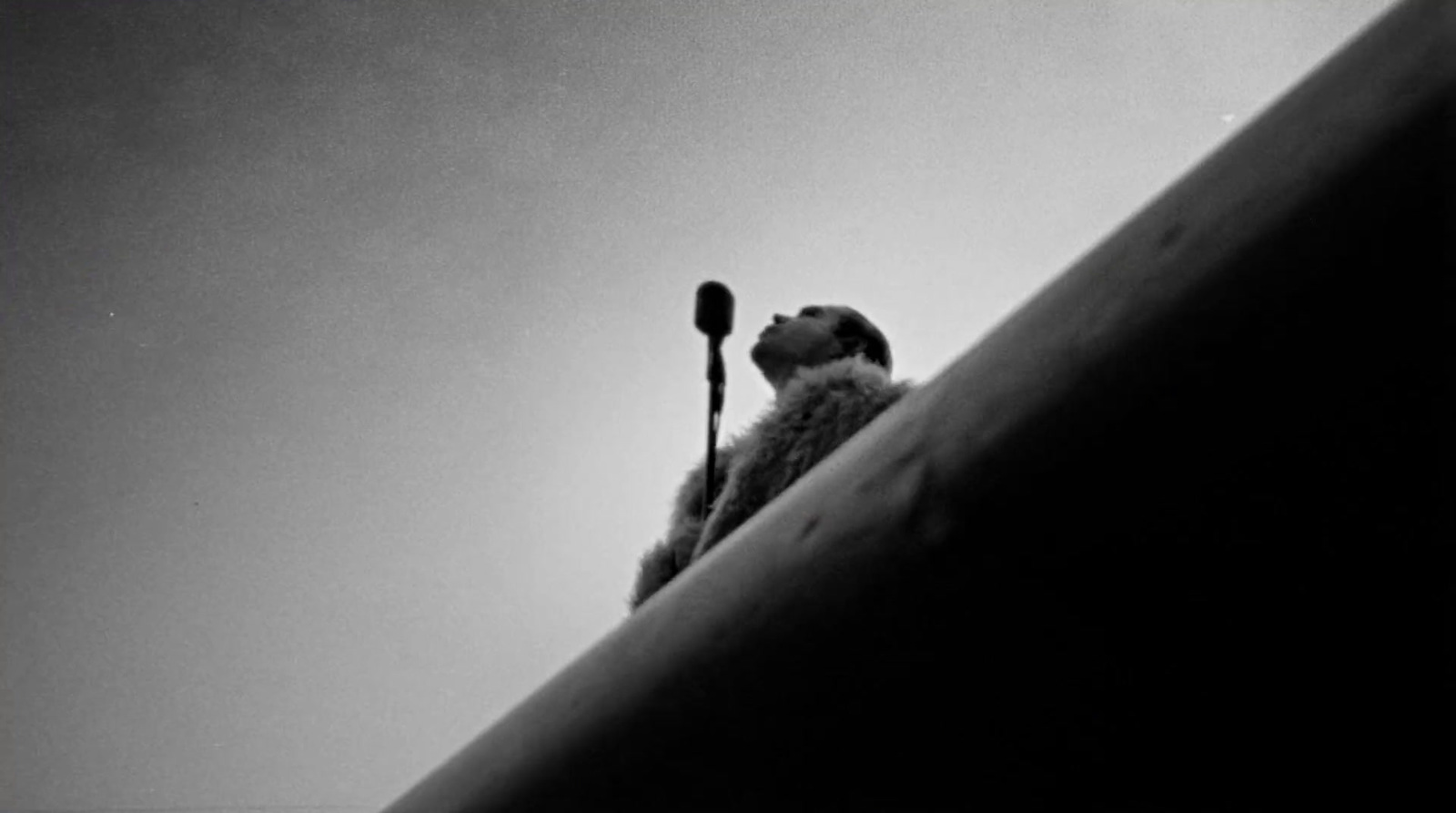 a black and white photo of a bird on a pole