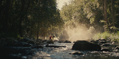 a man standing in a river next to a forest