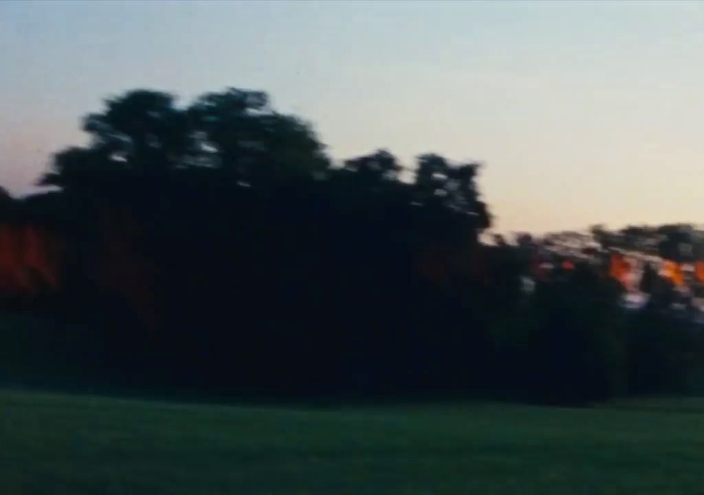 a blurry photo of a field with trees in the background