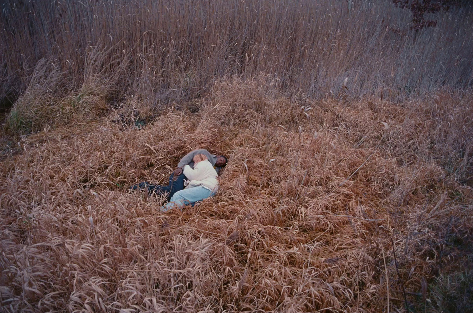 a person laying in a field of tall grass