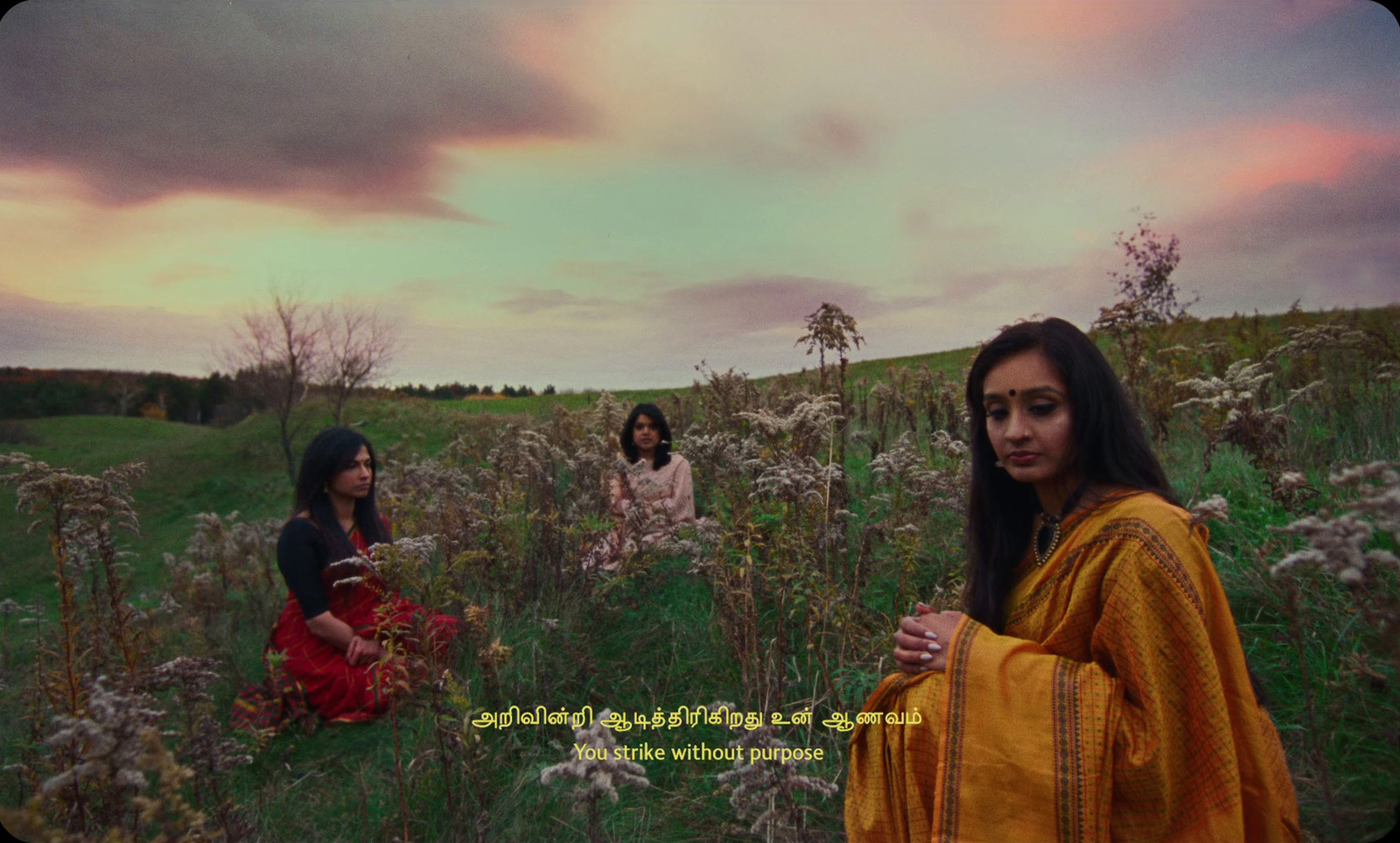 a group of women sitting on top of a lush green field