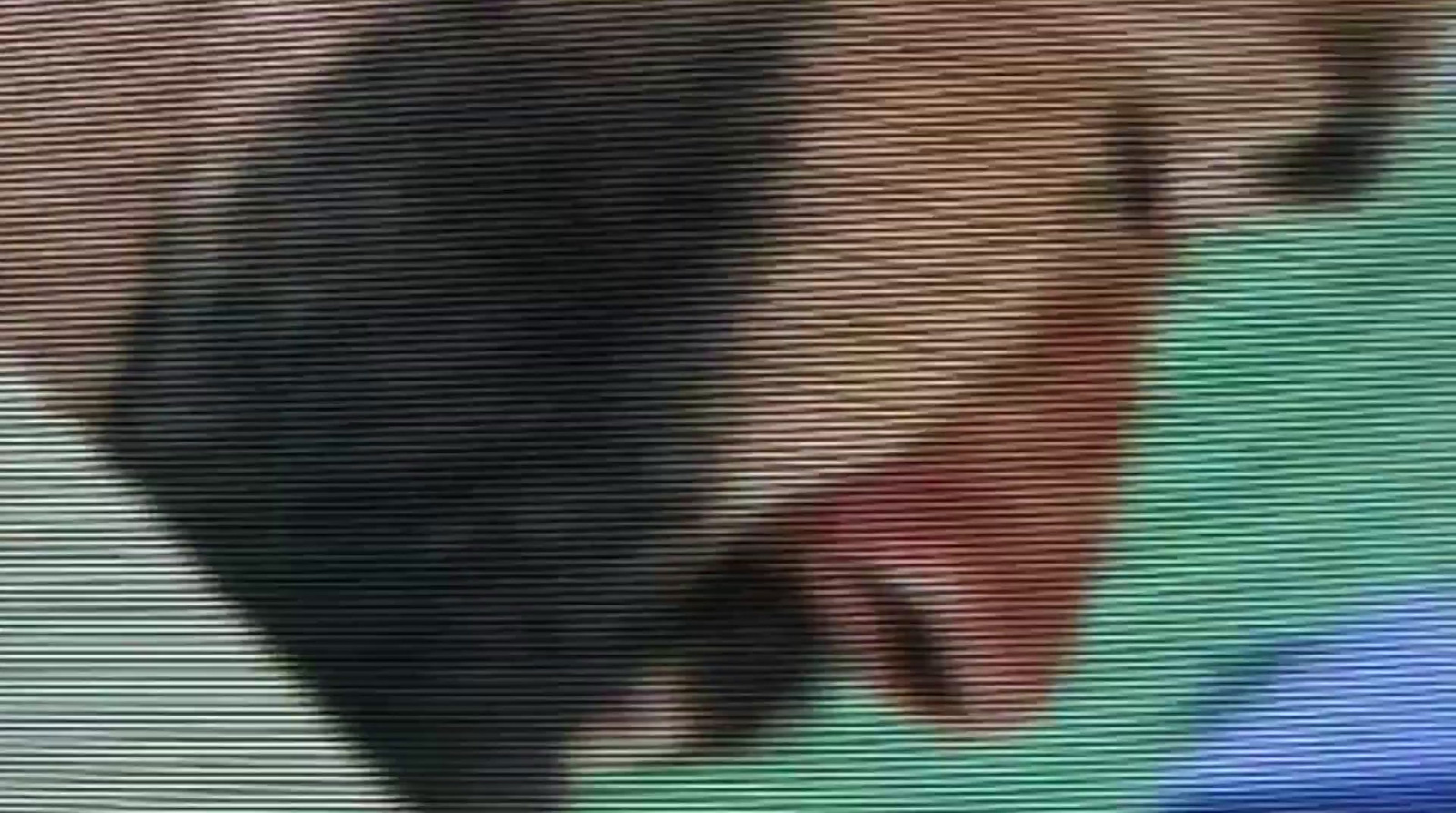 a blurry image of a bird on a television screen