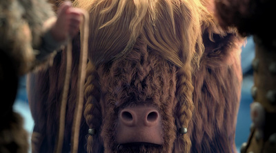 a close up of a cow with long hair