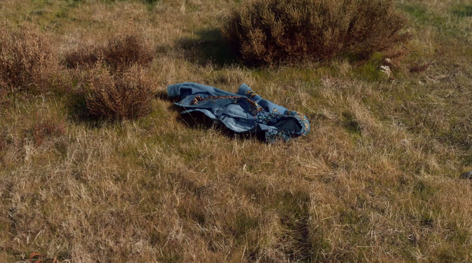 a pair of blue jeans laying on top of a grass covered field