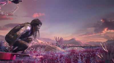 a man kneeling down in a field of purple flowers