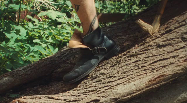 a person standing on top of a tree branch