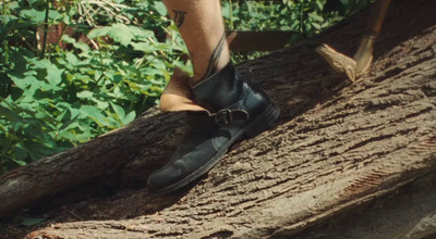 a person standing on top of a tree branch