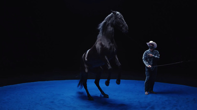 a man standing next to a black horse