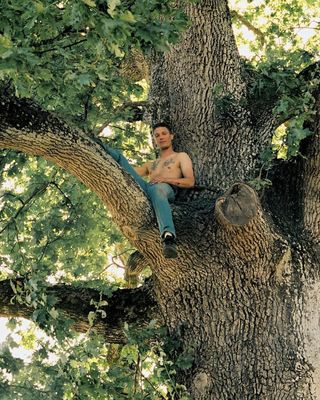 a man sitting in the middle of a tree