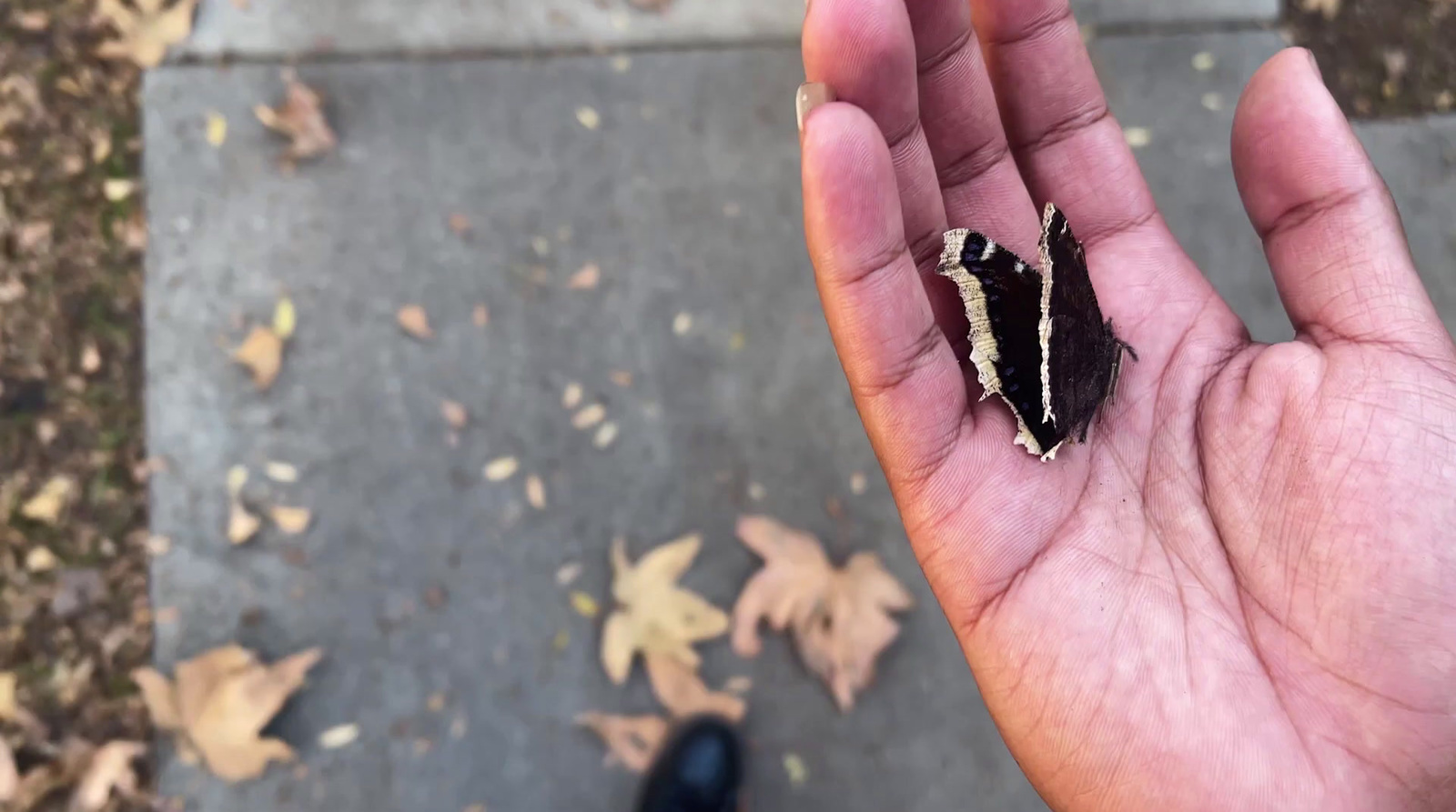 a hand holding a piece of black and white material