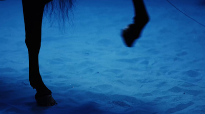 a close up of a horse's legs in the snow