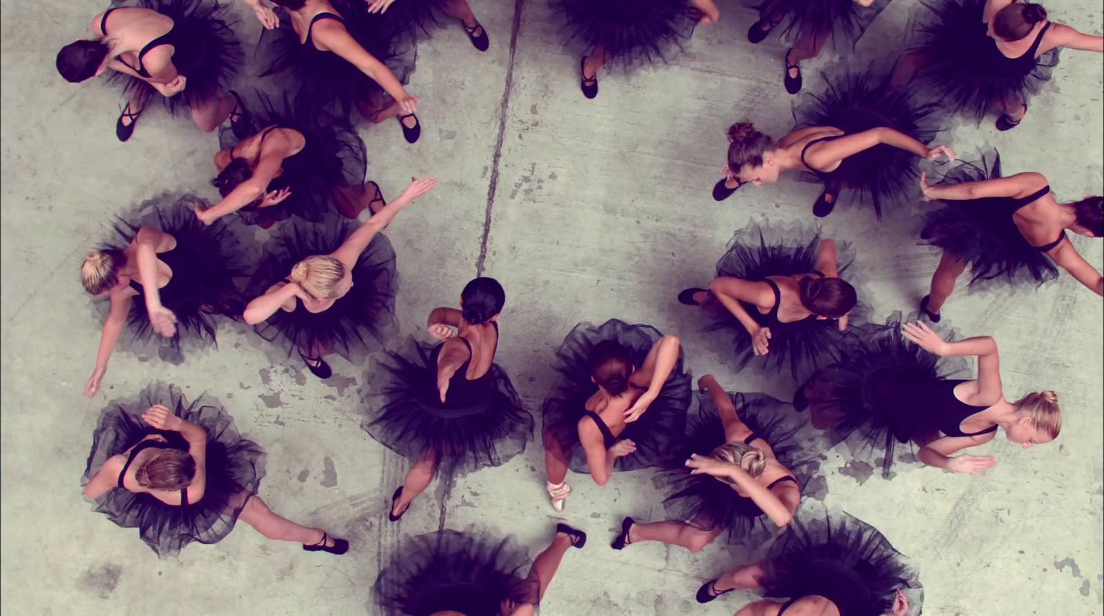 a group of dancers in black tutu skirts