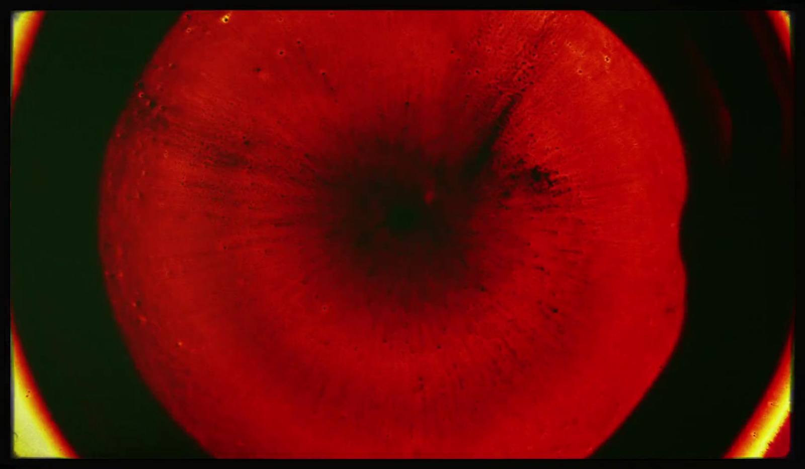 a close up of a red apple with a black background