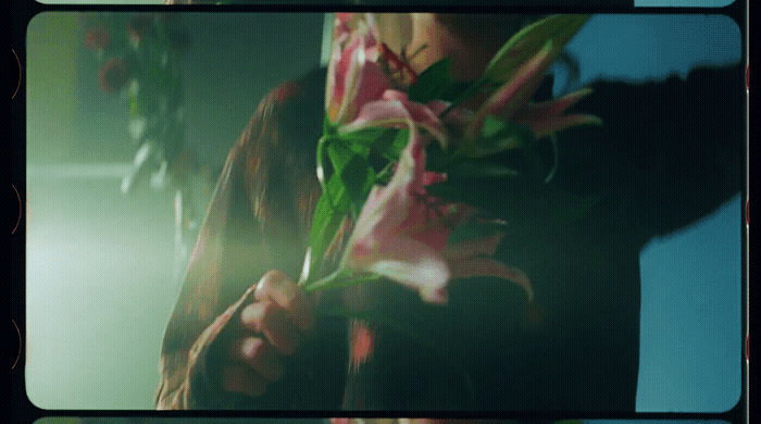 a person holding a bunch of flowers in their hands