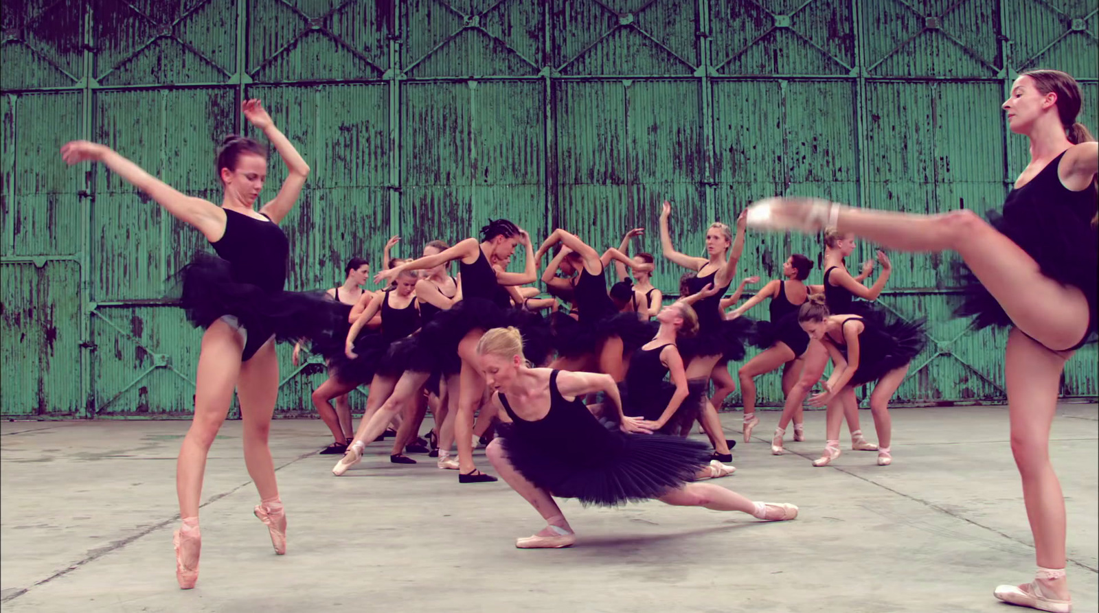 a group of dancers in black leotards and tutus