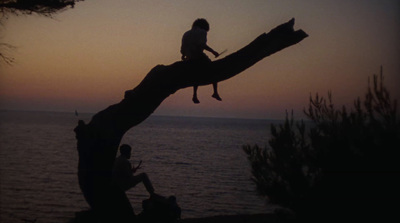 a man sitting on top of a tree next to the ocean