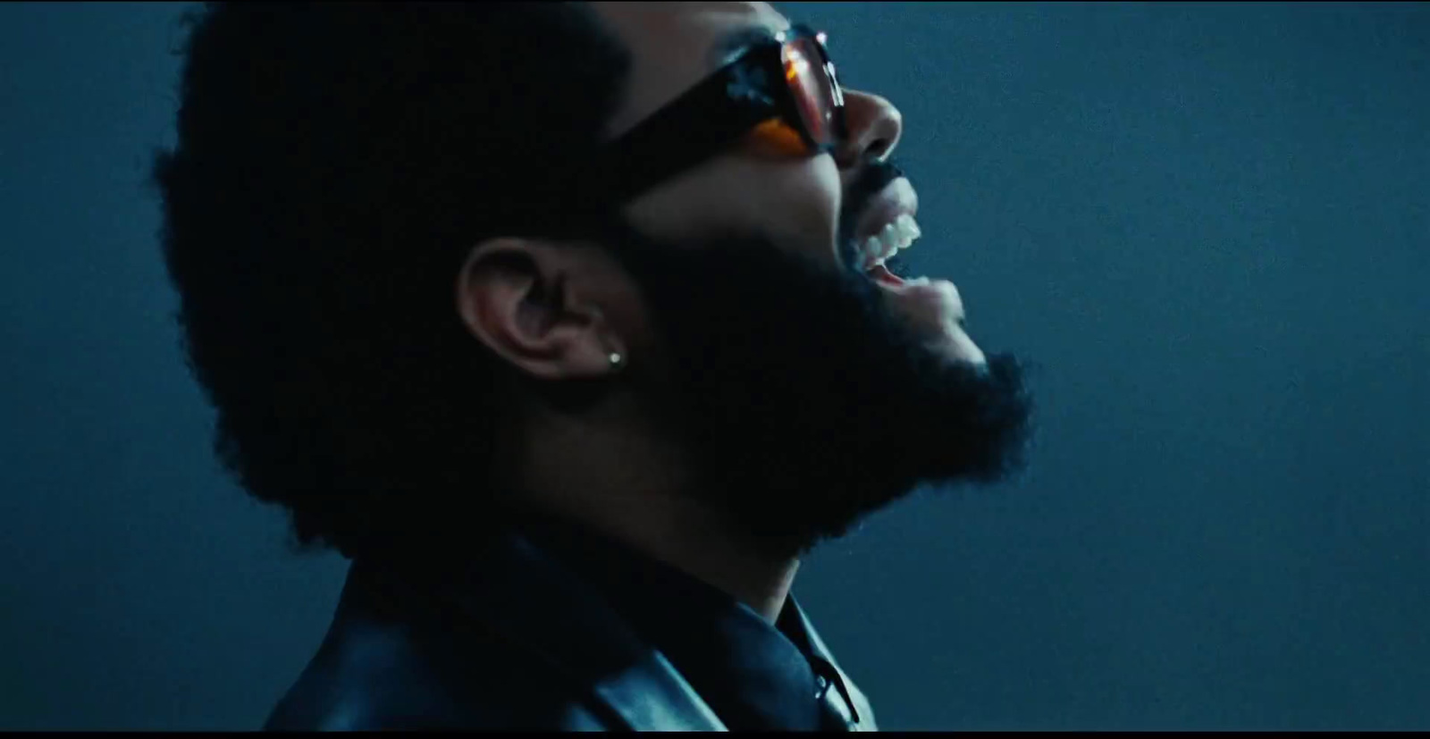 a man with a beard wearing sunglasses and a leather jacket