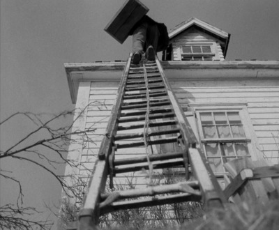 a man is standing on a ladder and reading a book