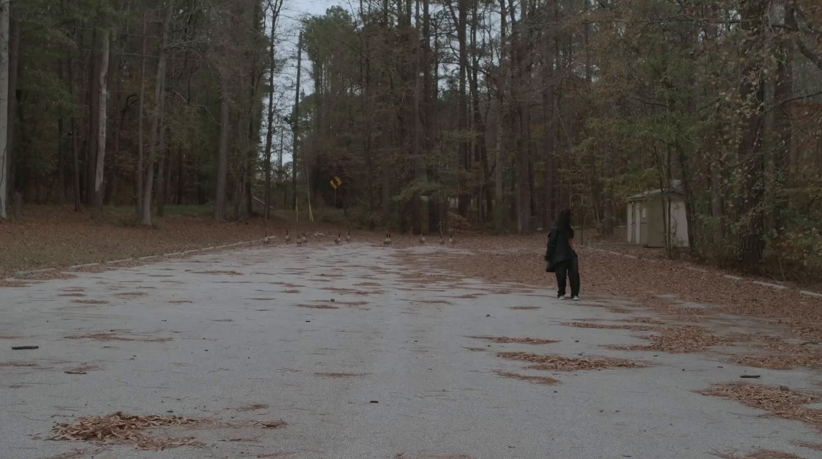 a person standing in the middle of a road