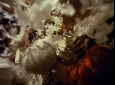 a woman in a white dress blowing white flowers