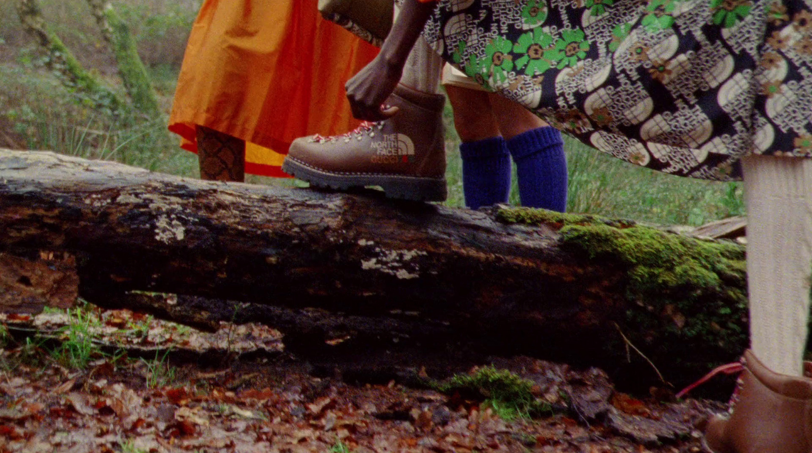 two people standing on a log in the woods