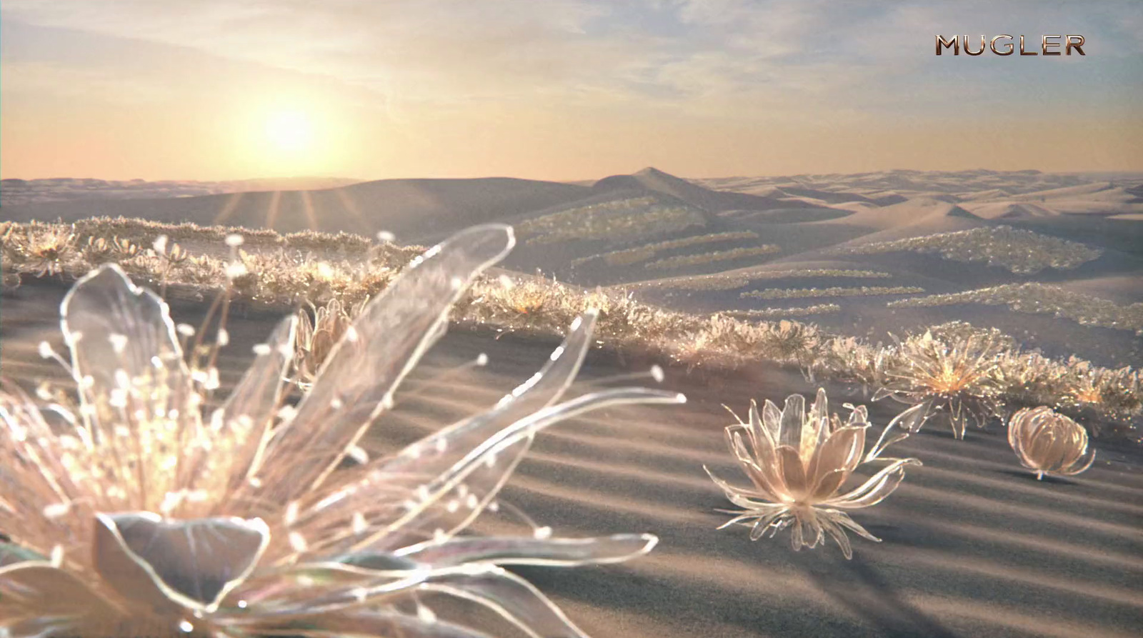 a picture of a desert landscape with flowers in the foreground