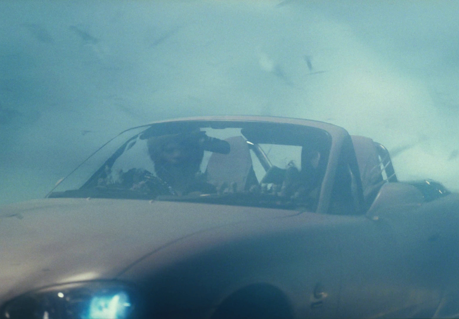 a man driving a car with a bunch of birds flying around