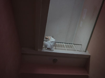 a small dog laying on a bed in a small room