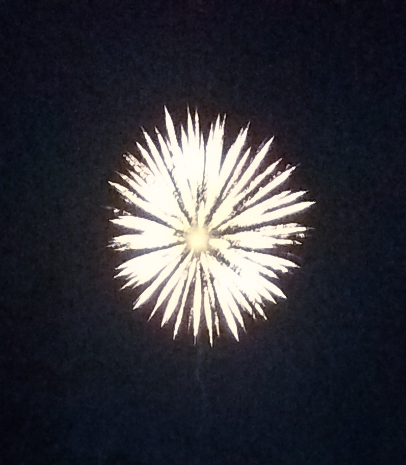 a large fireworks is lit up in the night sky