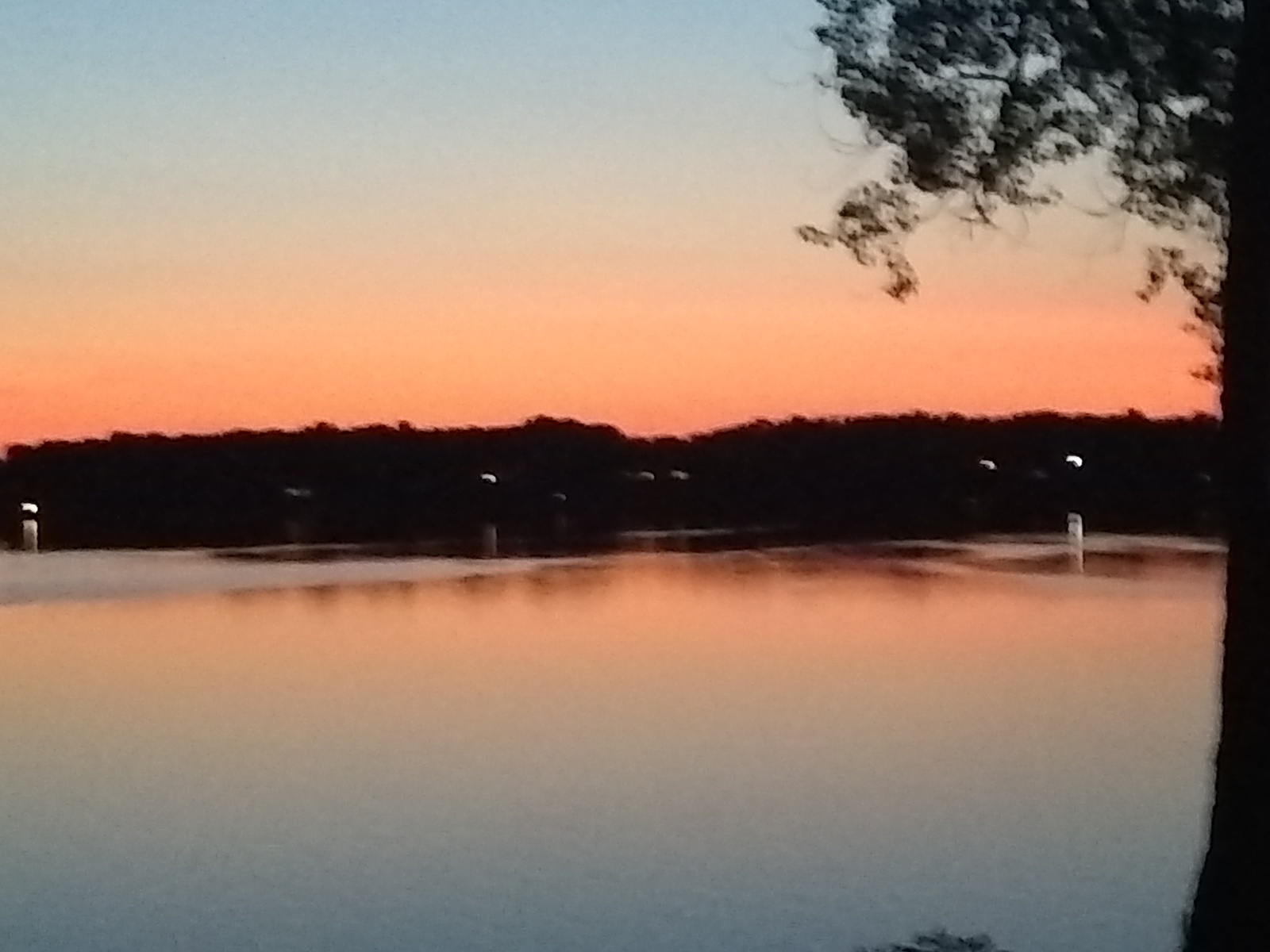 a body of water with trees in the background