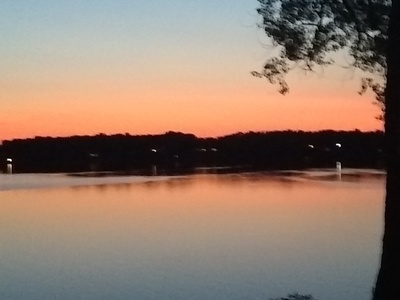 a body of water with trees in the background