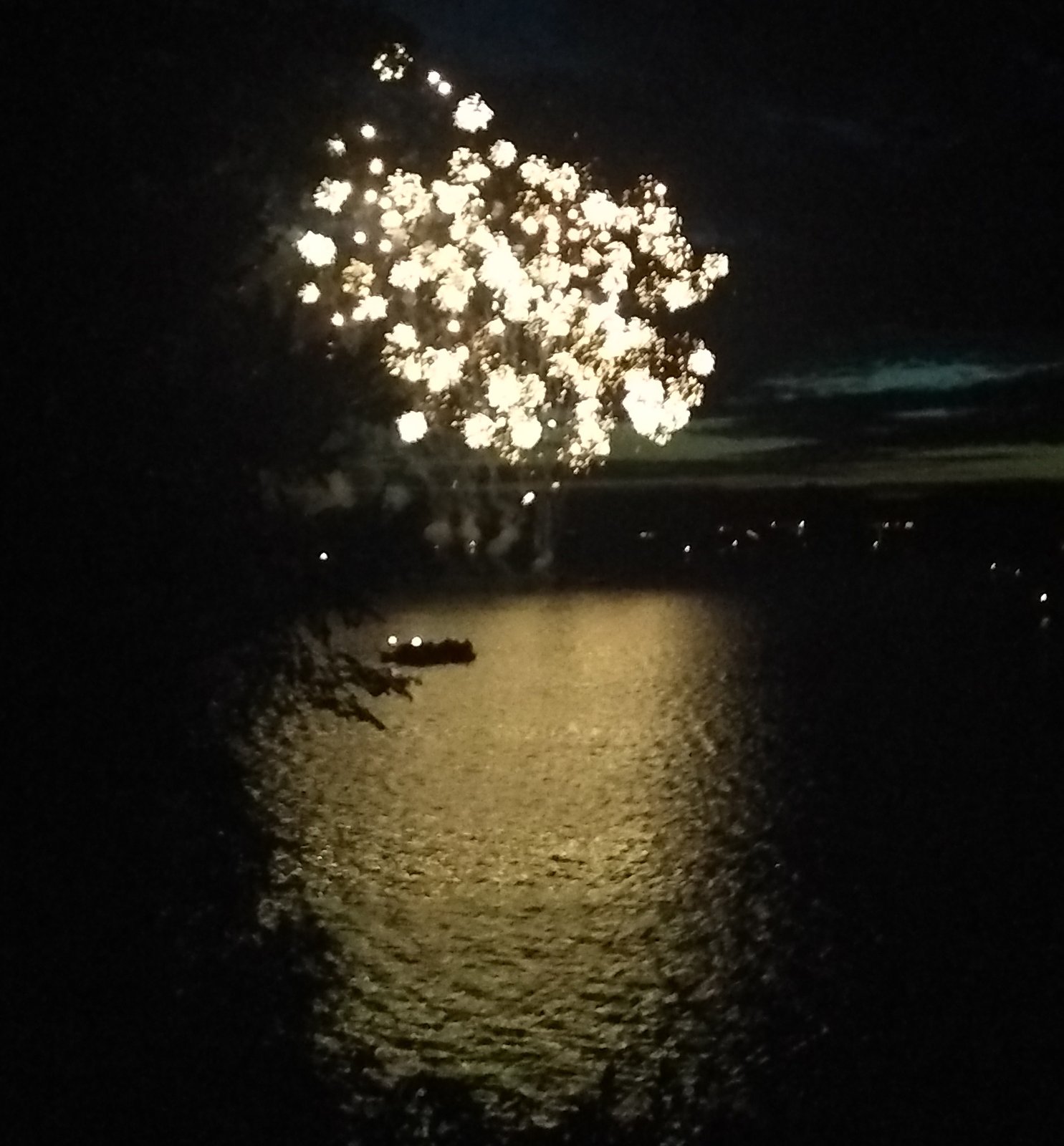 a large fireworks is lit up in the night sky