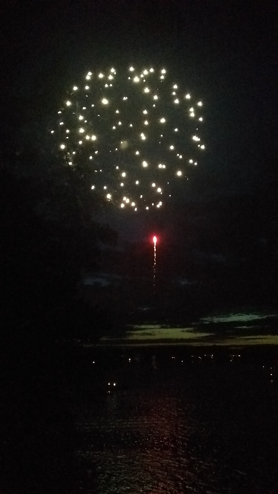 a large fireworks is lit up in the night sky