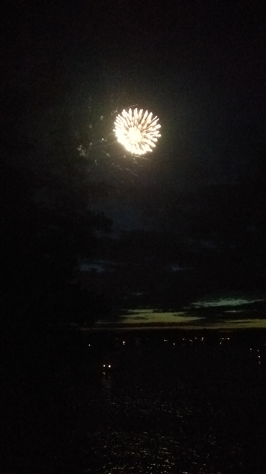 a fireworks is lit up in the night sky