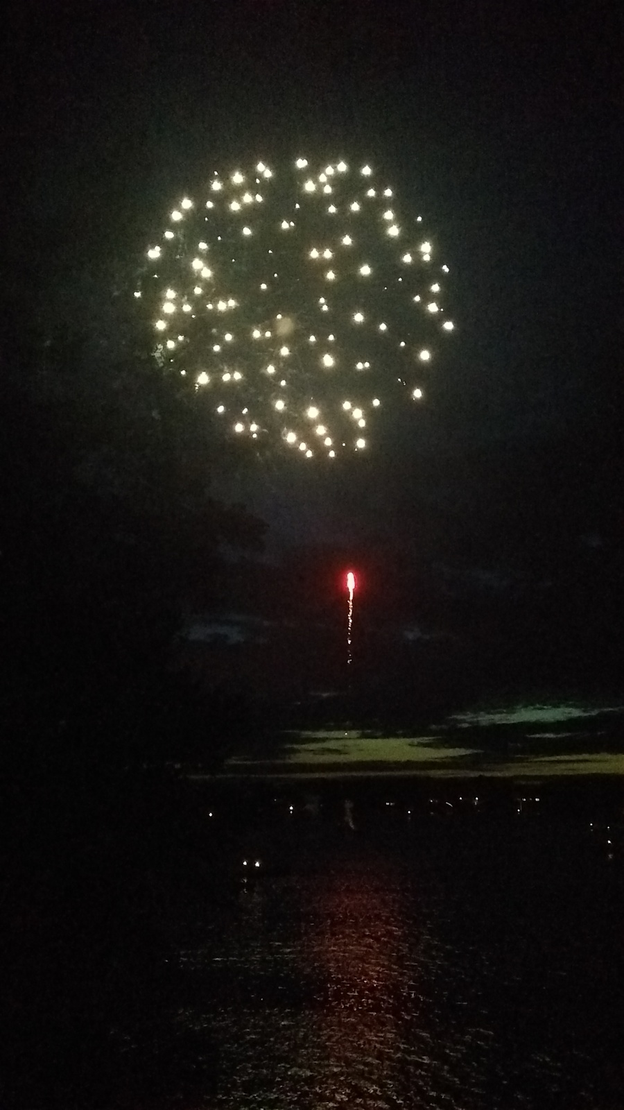 a large fireworks is lit up in the night sky