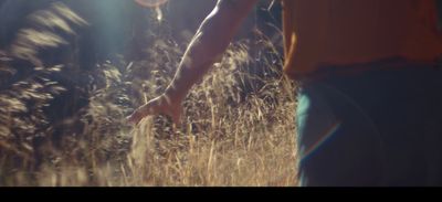 a person walking through a field of tall grass